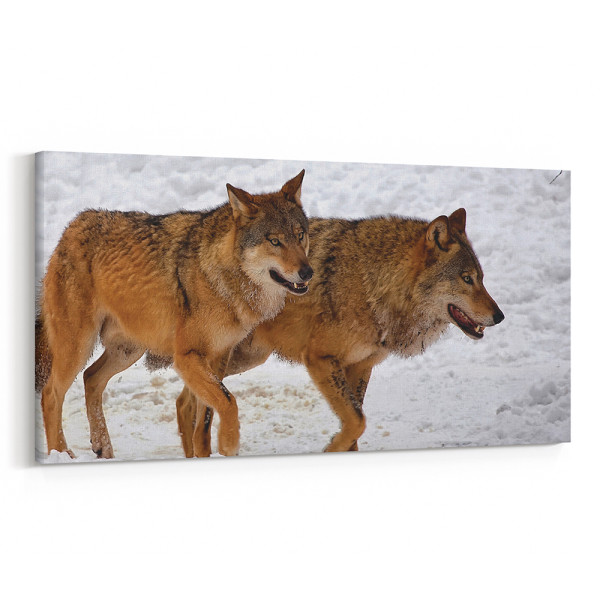 2 Brown Wolves Walking In The Winter Snow Canvas Wall Art