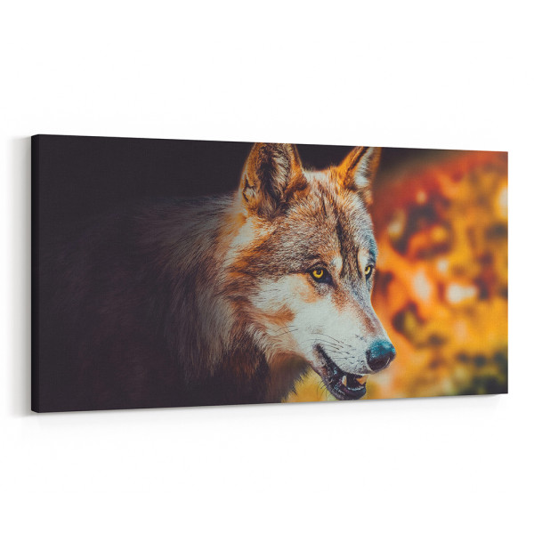 A Wolf With Amber Eyes In Autumn - Close Up Canvas Wall Art