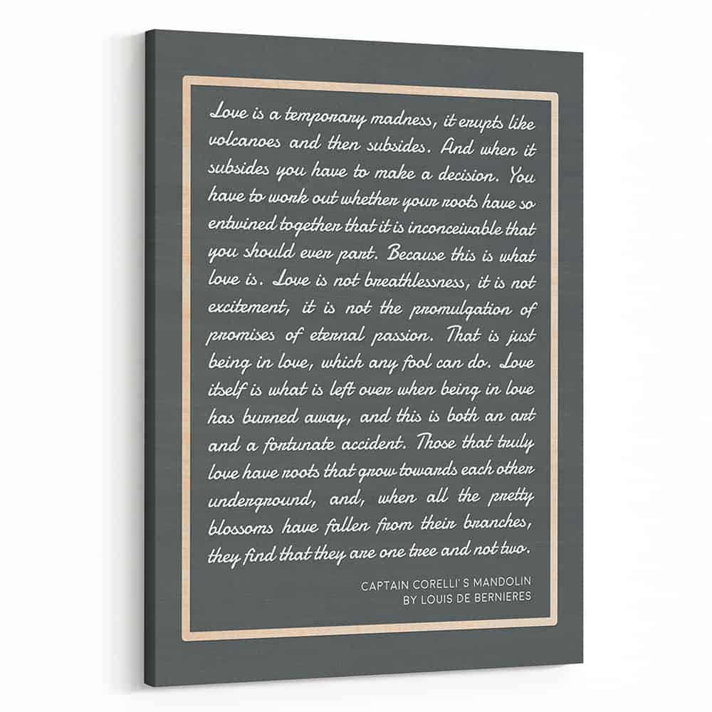 Love Is A Temporary Madness Canvas Print