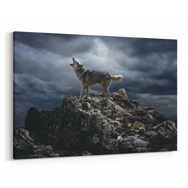 Wolf Howling On Cliff Canvas Wall Art