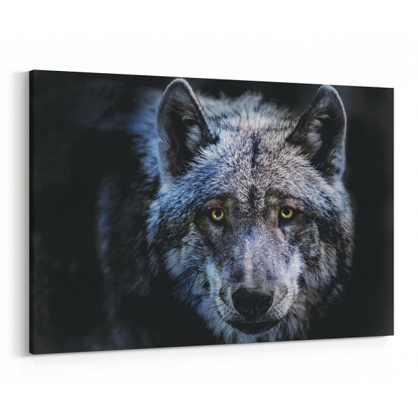 Wolf In The Dark - Close Up Canvas Wall Art