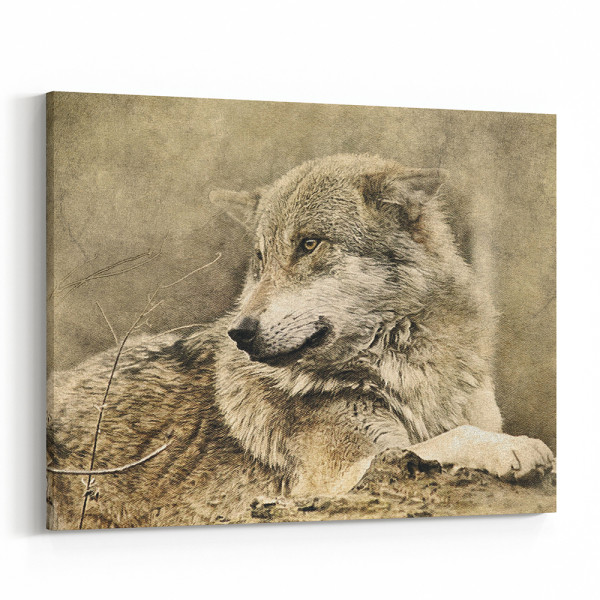 Wolf Lying Down In Forest - Sepia Canvas Wall Art
