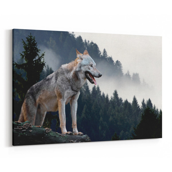 Wolf Standing In The Mountains Canvas Wall Art