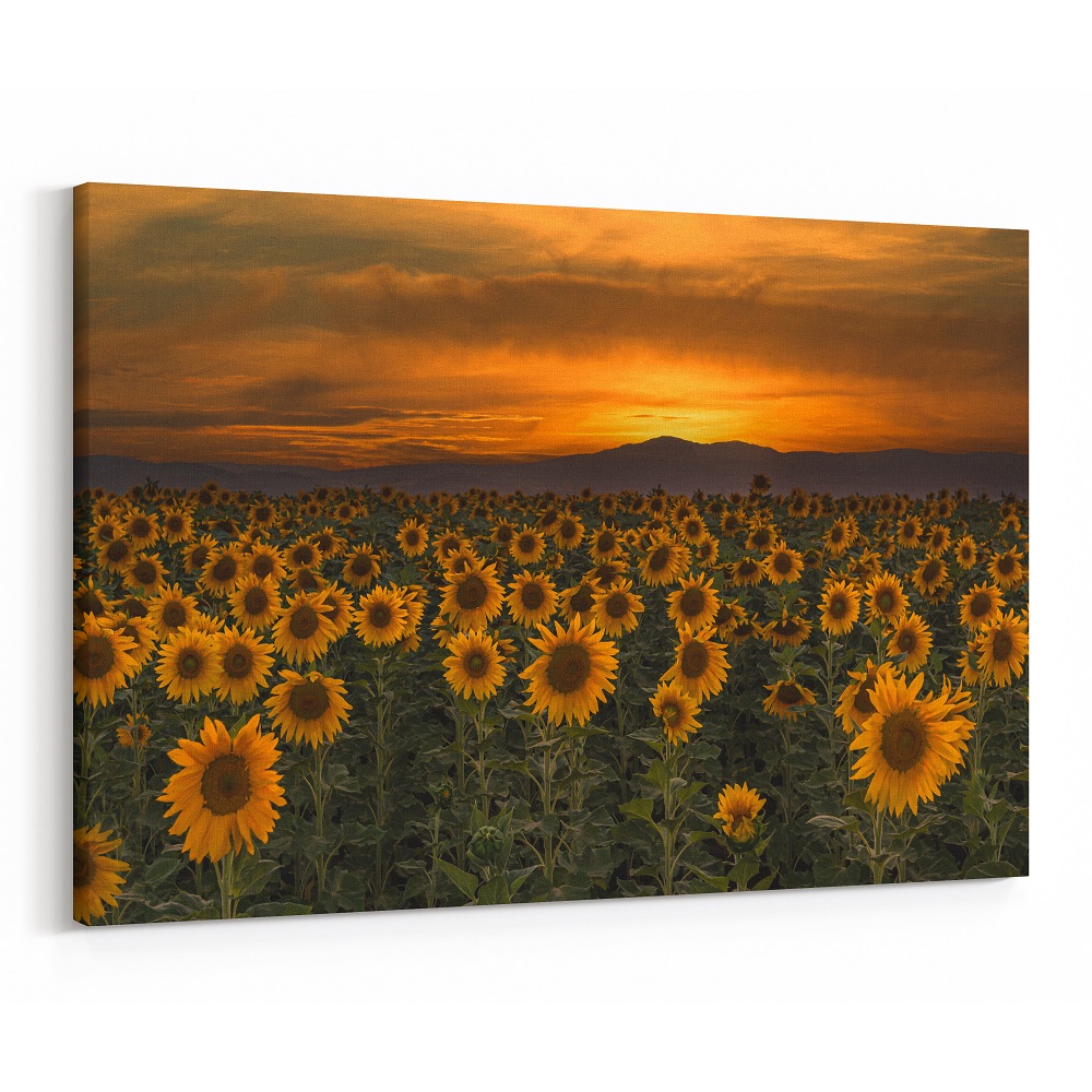 40×60″ Canvas Print
