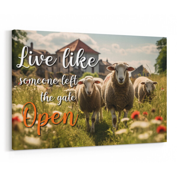 Live Like Someone Left The Gate Open Sheep Canvas Print