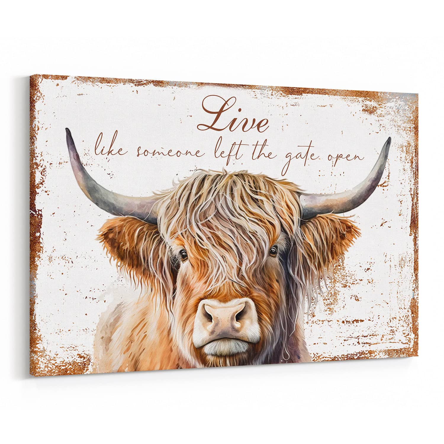 Highland Cow Canvas Print – Live Like Someone Left The Gate Open