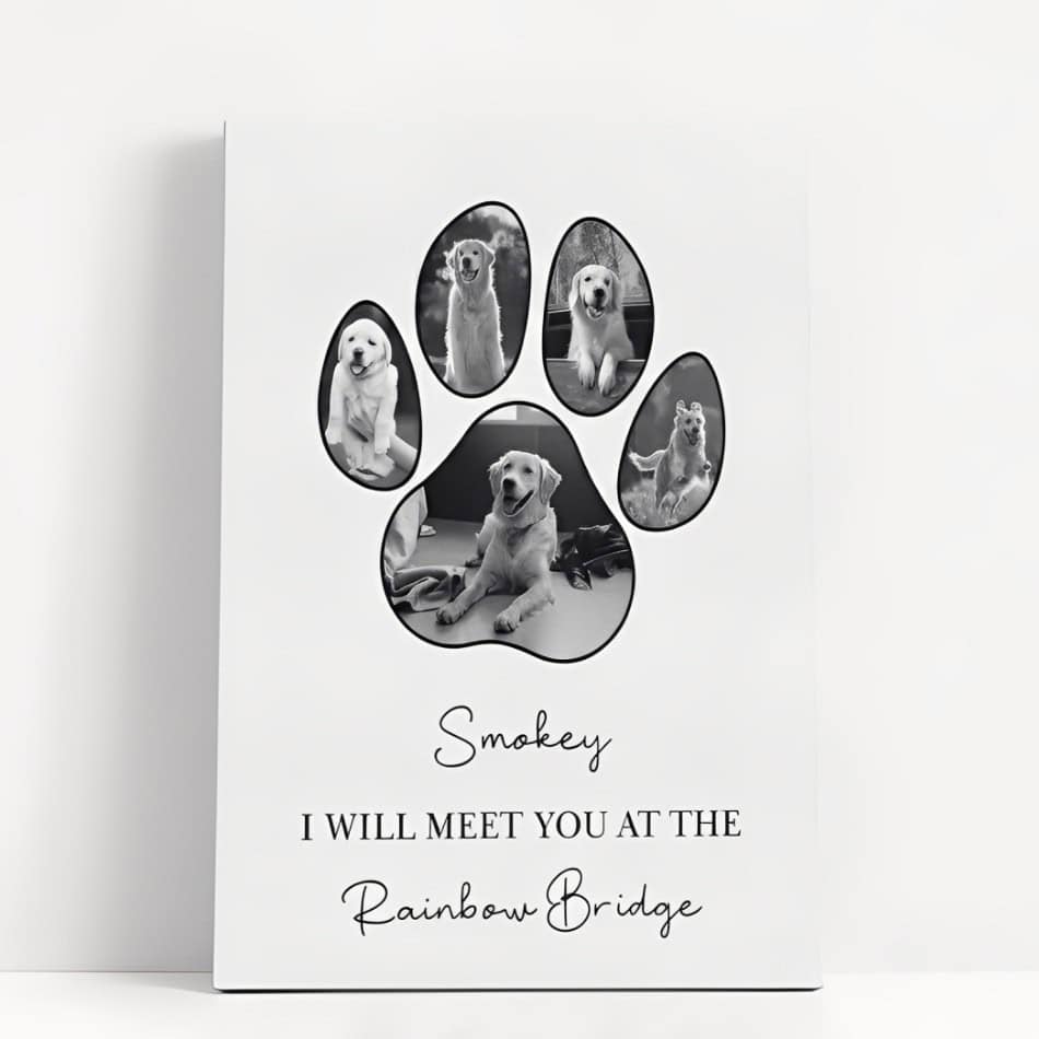 pet paw memorial canvas